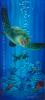 Turtle reef by Dennis Mathewson