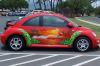 Hawaiian beetle by Dennis Mathewson