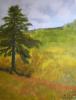 le grand pin dans ma cour by Daughter E Fortin