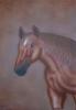 Horse by Dennis Kenny