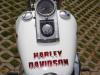 harley by Evrim Duyar