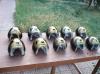 pilot helmets by Evrim Duyar