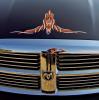 Cofano Dodge RAM1500 by  Explo
