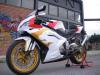 rs by  Am.design