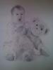 disegni