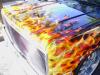 true flames by Fleming Designs