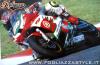 MOTO CARCASS by Massimo Fogliazza