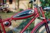 il mosquito del tasso by  Fungo