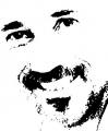  Fungo