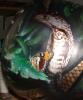 snake tank( butterfly) by Antonio Fucito