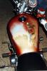 moto egizia by Maso Art