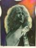 Robert Plant  by Giorgio Uccellini