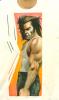 wolverine  by Giorgio Uccellini