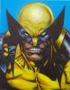 wolverine by Giorgio Uccellini