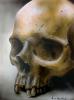 Skull in canvas by Adriano Gnv