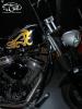 Harley Davidson by Gudu Aerografie