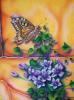 farfalla1 by Diego Mari Guitart