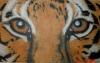 tigre by Maria Euge Ricciardull