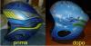 casco sci frecce  tricolori by Spike Decorator