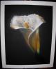 flower by Diego -J D- Aerog