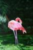 pink in paradise by Jamie Sinclair