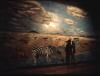 Safari by  Jaymeer