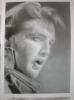 Elvis by James Watson