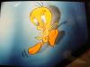 tweety by Frank Call&eacute;
