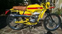 testi 50  trail king by Kele Art