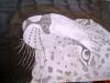 dibujo a lapiz y carbon