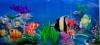 acquario by  Liquidsky