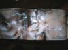New.. by  Lordkaos