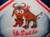 Il socio 