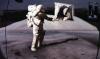  by  Luna Nera