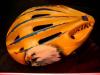 casco ciclo EAGLE by Emanuele Maggioni