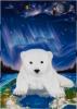 -Birth-White Bear 