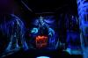 Snow Queen in UV light by Maniek Sadkowski