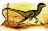 velociraptor by  Marco Barba