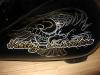 pinstriped eagle by Marcus Pfeil