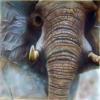 elephant by Mark Welton
