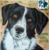 Bonnie by Mark Welton