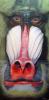 Mandrill by Mark Welton