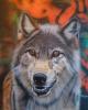 Wolf by Mark Welton