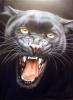 beware the dark 2 by Mark Welton