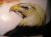 eagle bio by  Mauriart