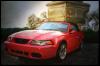 mustang cobra by Marco Cocozza