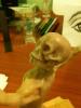                  Sculpey