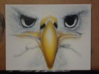 Eagle Eye,s by Mike Carter