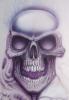freehand skull by Nicholas Del Drago