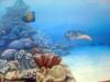 aquarium room, det. by Nuria Lamsdorff